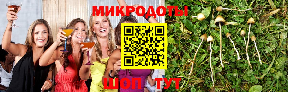 Галлюциногенные грибы ЛСД Ишимбай